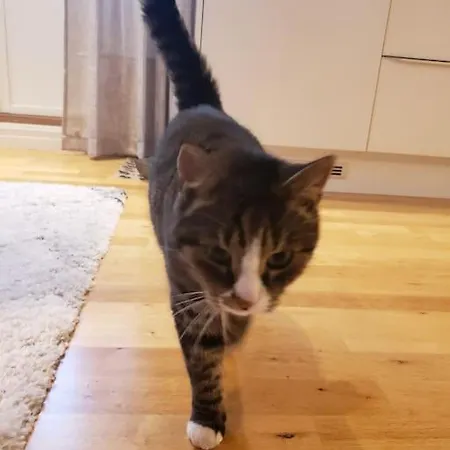 Prázdninový dům 3 Bedrooms&2bathrooms House With Amazing View Tromsø