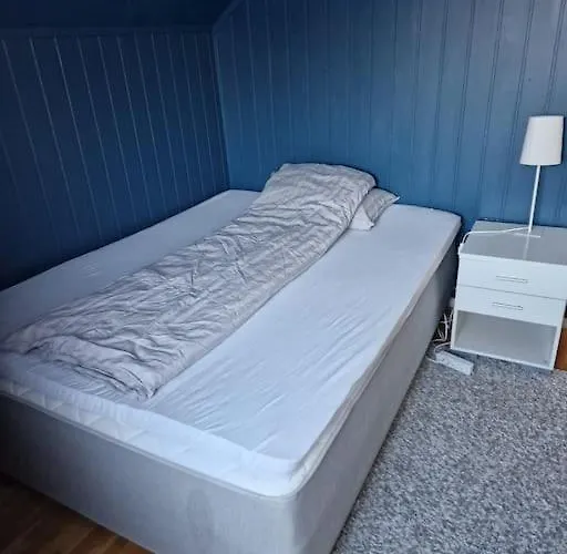 3 Bedrooms&2bathrooms House With Amazing View * Tromsø
