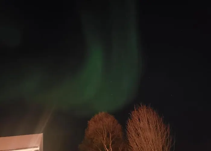 3 Bedrooms&2bathrooms House With Amazing View * Tromsø